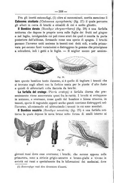 Il coltivatore giornale di agricoltura pratica