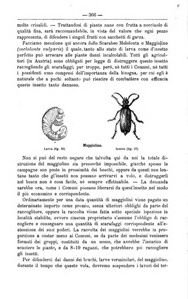 Il coltivatore giornale di agricoltura pratica