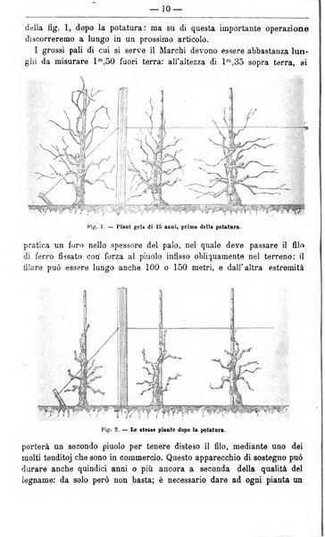 Il coltivatore giornale di agricoltura pratica