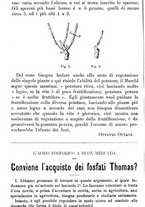 giornale/TO00181640/1888/unico/00000040