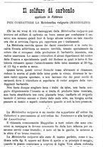 giornale/TO00181640/1888/unico/00000079