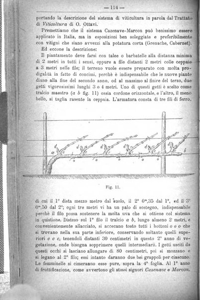 Il coltivatore giornale di agricoltura pratica