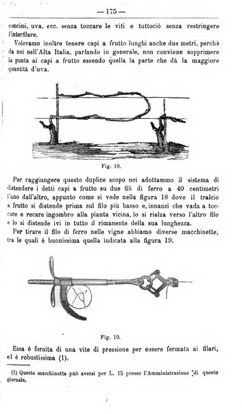 Il coltivatore giornale di agricoltura pratica