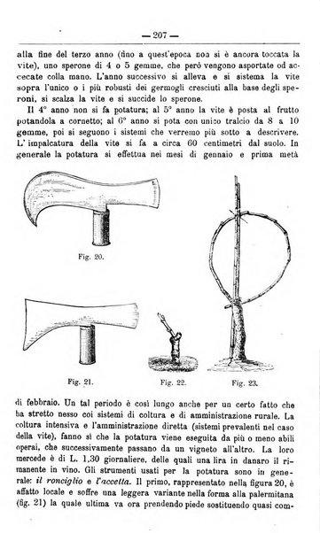 Il coltivatore giornale di agricoltura pratica