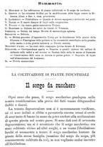 giornale/TO00181640/1888/unico/00000229