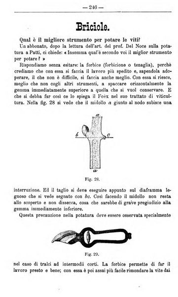 Il coltivatore giornale di agricoltura pratica