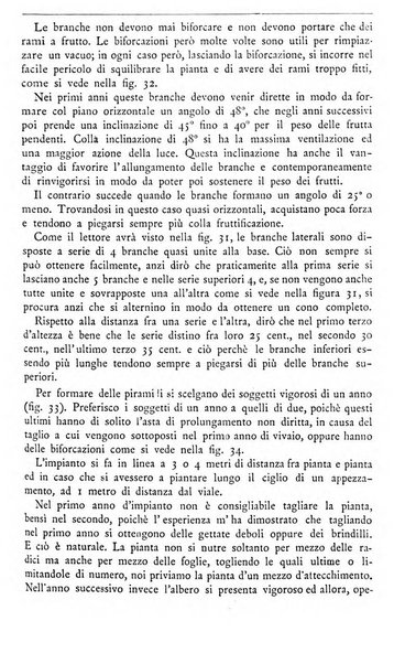 Il coltivatore giornale di agricoltura pratica