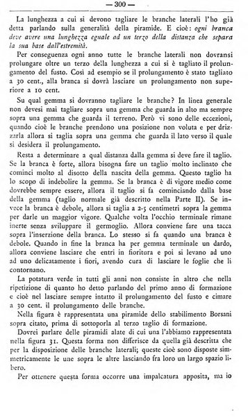 Il coltivatore giornale di agricoltura pratica