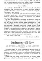 giornale/TO00181640/1888/unico/00000404