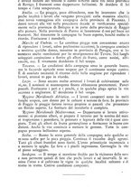 giornale/TO00181640/1888/unico/00000416