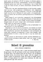 giornale/TO00181640/1888/unico/00000434