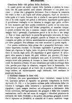 giornale/TO00181640/1888/unico/00000600