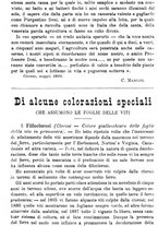 giornale/TO00181640/1888/unico/00000723