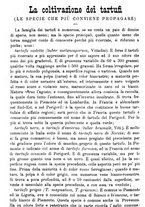 giornale/TO00181640/1888/unico/00000840