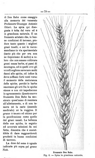 Il coltivatore giornale di agricoltura pratica