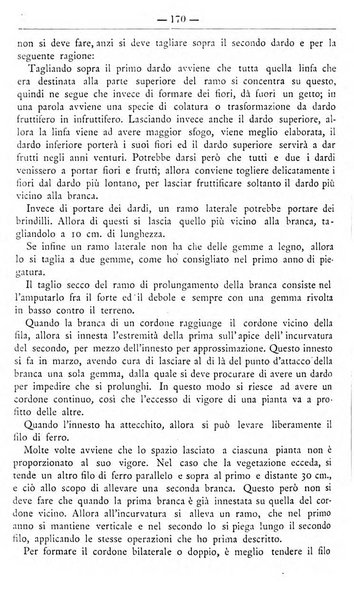 Il coltivatore giornale di agricoltura pratica