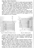 giornale/TO00181640/1888/unico/00000942