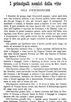 giornale/TO00181640/1888/unico/00000945