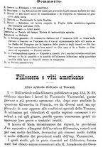 giornale/TO00181640/1888/unico/00000961