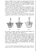 giornale/TO00181640/1889/unico/00000236