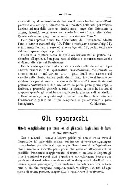 Il coltivatore giornale di agricoltura pratica