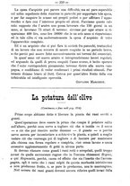 giornale/TO00181640/1889/unico/00000363