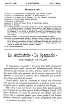 giornale/TO00181640/1889/unico/00000517