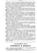 giornale/TO00181640/1889/unico/00001090