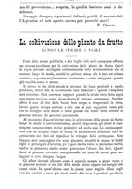 giornale/TO00181640/1889/unico/00001100