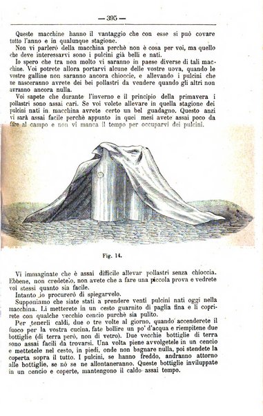 Il coltivatore giornale di agricoltura pratica