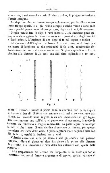 Il coltivatore giornale di agricoltura pratica