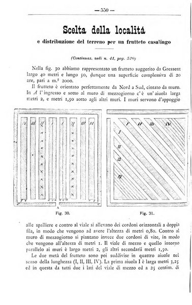 Il coltivatore giornale di agricoltura pratica