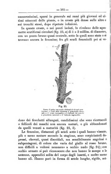 Il coltivatore giornale di agricoltura pratica