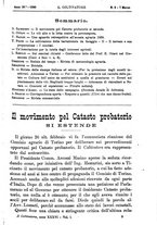 giornale/TO00181640/1890/unico/00000261