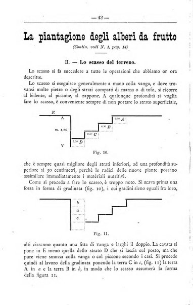 Il coltivatore giornale di agricoltura pratica