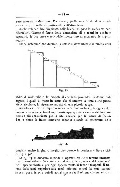 Il coltivatore giornale di agricoltura pratica