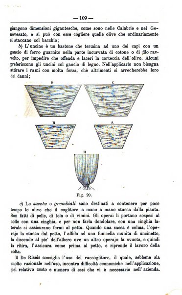 Il coltivatore giornale di agricoltura pratica