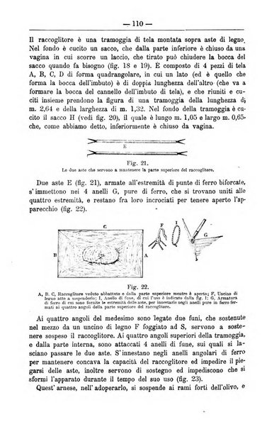 Il coltivatore giornale di agricoltura pratica