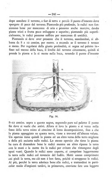 Il coltivatore giornale di agricoltura pratica