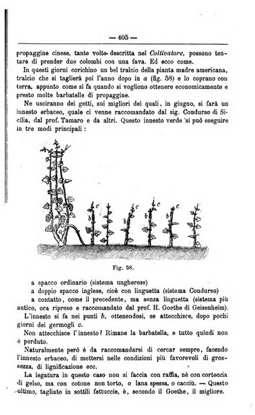 Il coltivatore giornale di agricoltura pratica