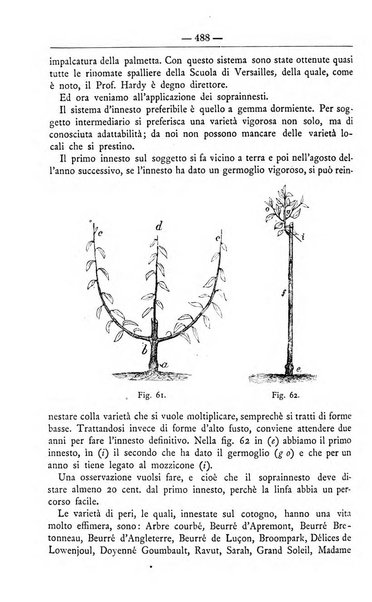 Il coltivatore giornale di agricoltura pratica