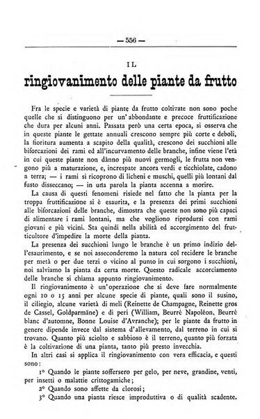 Il coltivatore giornale di agricoltura pratica