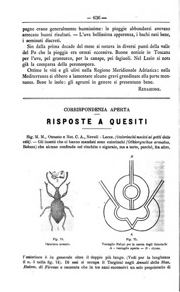 Il coltivatore giornale di agricoltura pratica