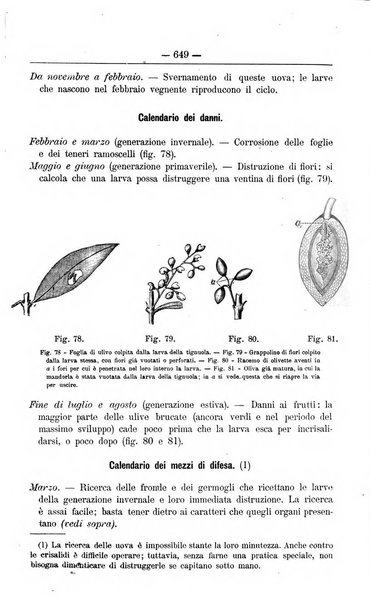 Il coltivatore giornale di agricoltura pratica