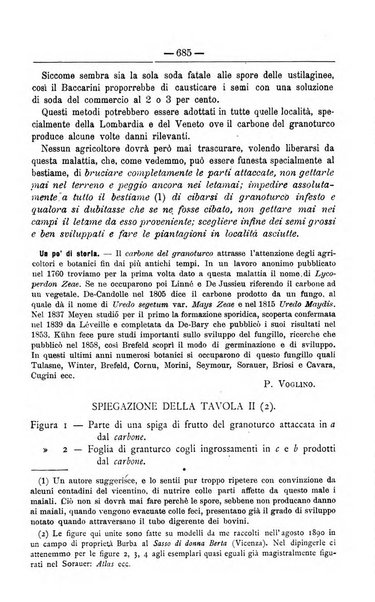 Il coltivatore giornale di agricoltura pratica