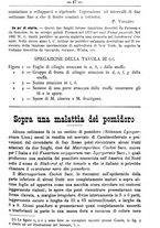 giornale/TO00181640/1891/unico/00000823