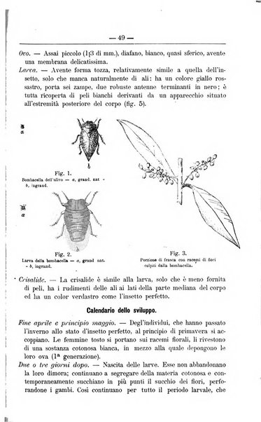 Il coltivatore giornale di agricoltura pratica