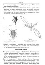 giornale/TO00181640/1891/unico/00000827