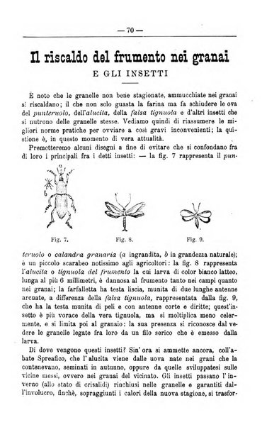 Il coltivatore giornale di agricoltura pratica