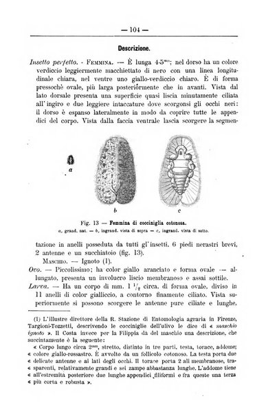 Il coltivatore giornale di agricoltura pratica